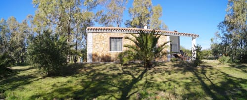 Villa in pietra rustica a Orosei con palme, zona giardino, architettura mediterranea e cielo azzurro