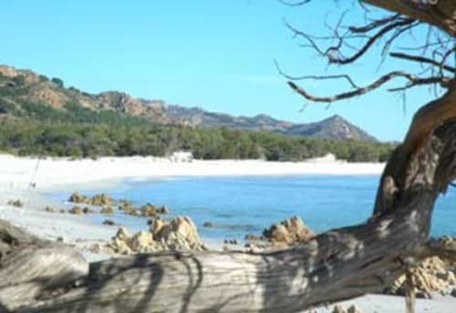 Coastal seascape view from Orosei villa with turquoise sea, sandy beach, rocky shore, and Mediterranean vegetation