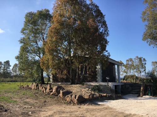 Rustic villa in Orosei with ancient eucalyptus trees, stone building, and natural countryside setting near landmark trees