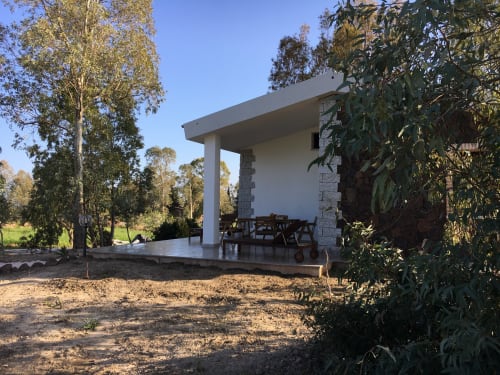 Modern villa with veranda in Orosei surrounded by eucalyptus trees and natural landscape