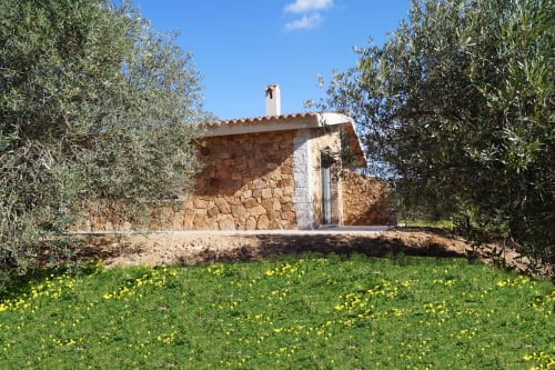 Rustic stone villa with garden view, olive trees, and yellow wildflowers at Sa Tanca De Mannoi in Orosei