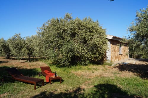 Tuscan villa garden with olive trees, rustic stone house, and red wooden sun loungers in Orosei