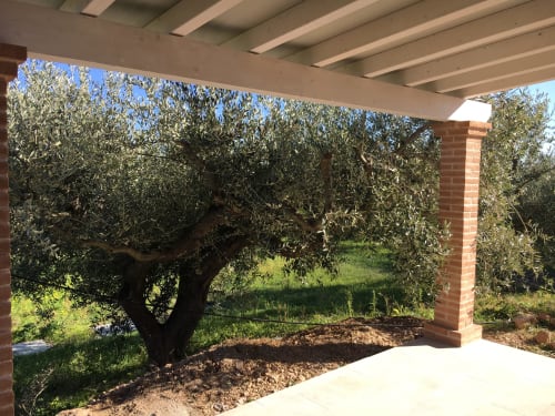 Covered veranda with olive trees and garden view at Sa Tanca De Mannoi villa in Orosei