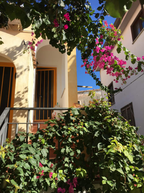 Charming Mediterranean courtyard in Orosei with vibrant pink bougainvillea cascading over white-washed apartment building