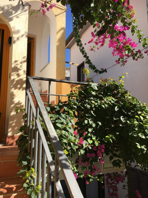Soleggiato cortile mediterraneo con bouganvillea fucsia, architettura bianchissima e ringhiera in metallo a Casa
