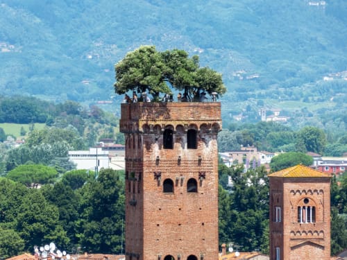 Medieval brick tower with tree on top overlooking Lucca valley, Il Casale di Nanni