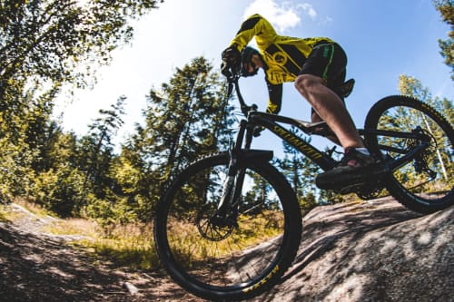 Mountain biker performing jump on trail near Pietra Ligure with forest backdrop