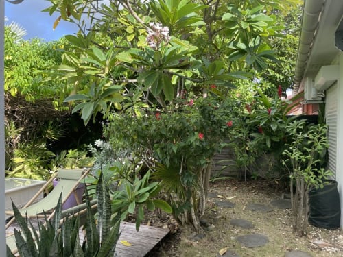 jardin villa fregates marina saint francois guadeloupe 