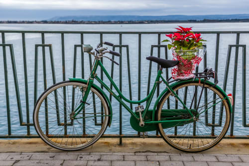 Bicicletta vintage verde con fiori rossi accanto alla ringhiera sul lungomare di Siracusa