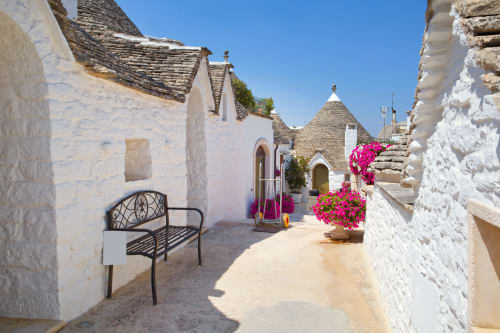 Whitewashed trulli houses with cone roofs and vibrant bougainvillea flowers in Fasano, Alberobello region of Italy
