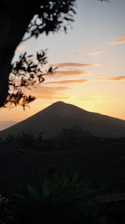 Vista del atardecer de la montaña volcánica desde Finca de La Geria en Yaiza, Lanzarote, con plantas tropicales recortadas en primer plano