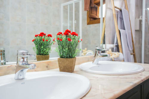 Modern bathroom vanity with two round white sinks, red carnations, and mirror at Finca de La Geria cottage in Yaiza