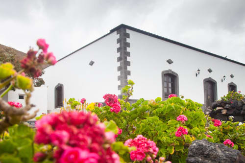 Pink geraniums bloom in garden at Finca de La Geria cottage in Yaiza with white-walled building and dark wooden doors