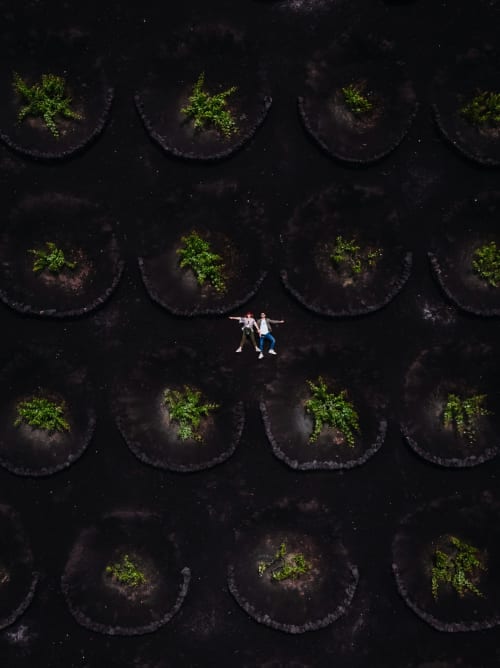 Aerial view of two guests on dark ground surrounded by circular garden beds with green plants at Finca de La Geria, Yaiza