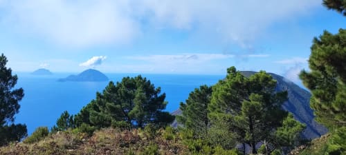 Vista costiera dall'Hotel Principe di Rinella con mare Mediterraneo, isole e pini