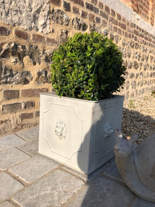 Jardin avec arbuste en topiaire dans le jardin des chambres d'hôtes Le Clos Mahiel à Saint-Romain-de-Colbosc, France