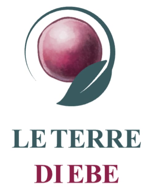 Logo Le Terre di Ebe con sfera rosa e foglia teal a Pachino, Sicilia