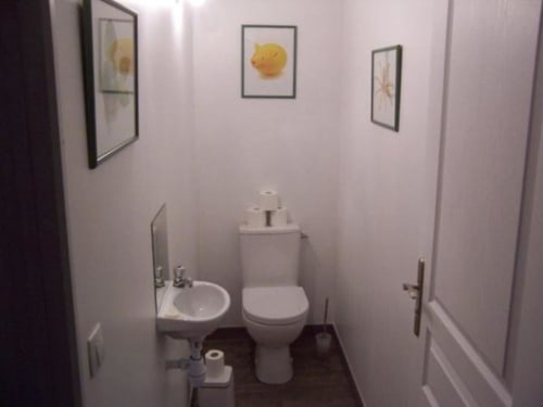 Salle de bains compacte à La Maison de Marie-Claire avec toilettes blanches, lavabo, carrelage gris foncé et art botanique encadré