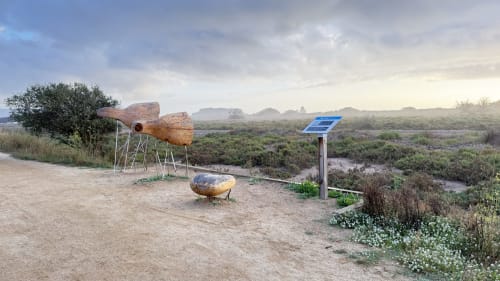 Esculturas de madera y cartel interpretativo en la reserva natural de humedales de L'Estartit con paisaje de marisma