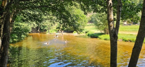 Lieu de baignade en rivière avec arbres d'ombrage au gîte Au Bord de la Dunière, Sainte Sigolène