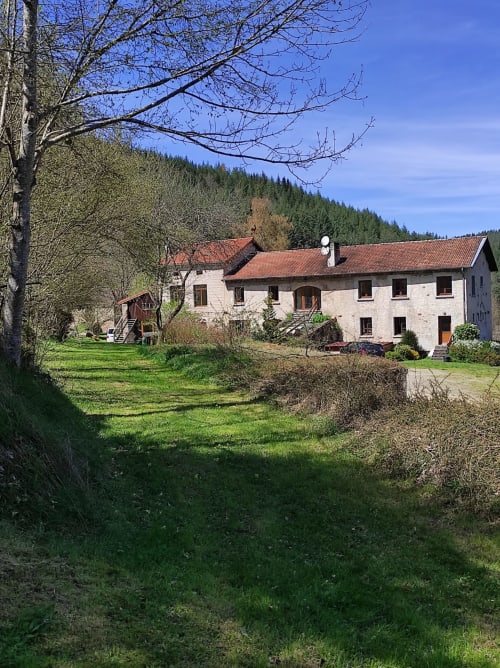 Maison Au Bord de la Dunière à Sainte Sigolène avec toit en terre cuite, murs en pierre blanche et jardins verdoyants