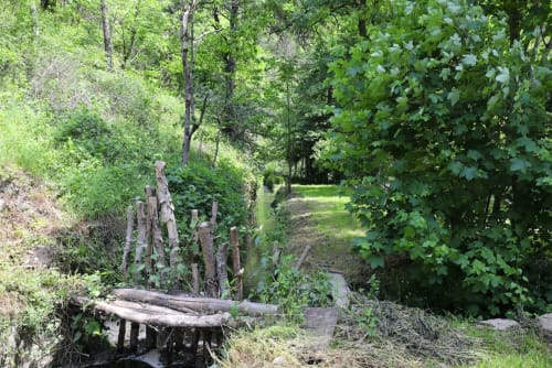 Chemin paisible au bord de la Dunière près du gîte Au Bord de la Dunière à Sainte-Sigolène, bordé d'une verdure luxuriante et de forêts