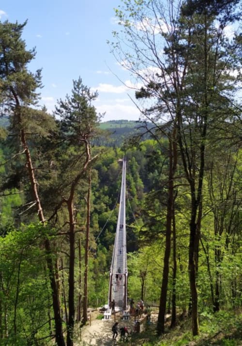 Pont suspendu enjambant une vallée boisée près de Sainte-Sigolène, refuge champêtre français