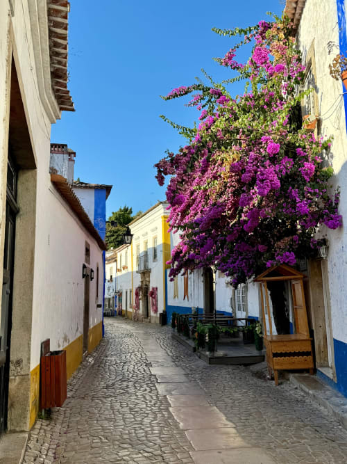 Rua de paralelepípedos encantadora em Venda do Pinheiro com edifícios coloniais coloridos e vibrantes flores de buganvília magenta