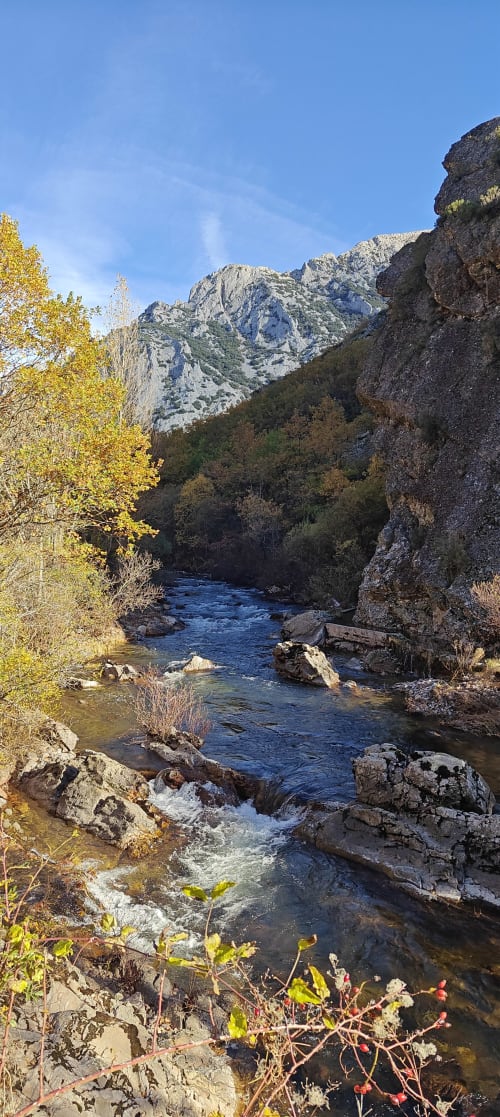 Río de montaña fluyendo por cañón rocoso con árboles otoñales dorados cerca de Casa Rural Sensaciones en Carrocera