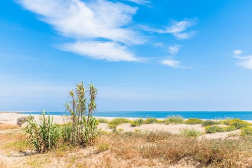 Vista de playa de isla canela