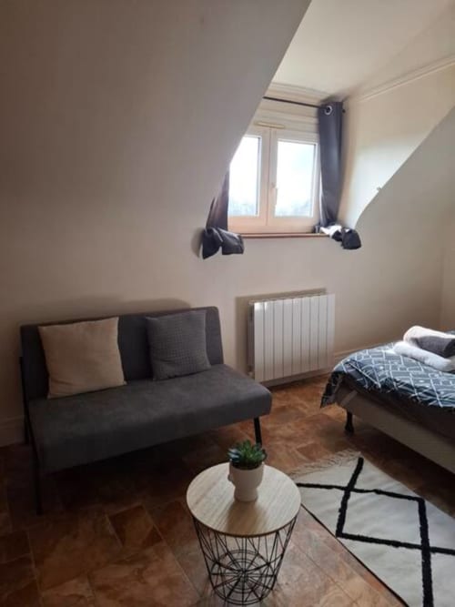 Appartement Accolade cosy à Châteaudun avec plafond incliné, canapé sombre, lit et vue sur la ville depuis la verrière
