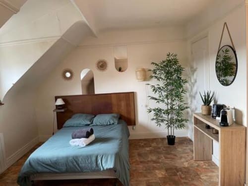 Chambre confortable de l'appartement Accolade à Châteaudun avec literie bleue, lit en bois, plantes et mobilier moderne