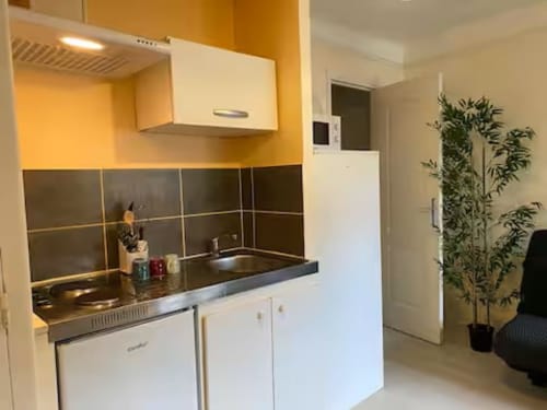 Kitchenette moderne avec carrelage noir, meubles blancs, murs jaunes et plante dans l'appartement Accolade, Châteaudun
