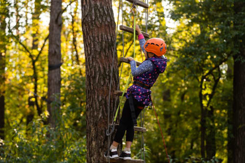 L'Atelier du Peintre | Escalade dans les arbres | Enfant | Échelle | Activités | Arbre
