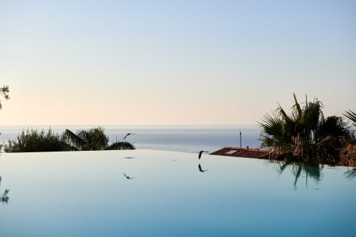 Infinity pool overlooking Mediterranean Sea with palm trees at CefalHome, Roma