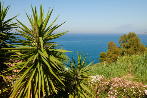 Mediterranean coastal view with palm trees and flowers at CefalHome, Sicily