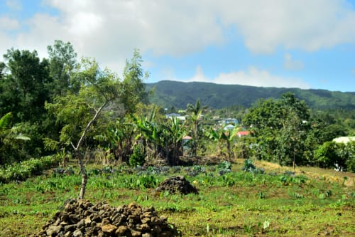 Villa Maraloupia - LES AVIRONS LA Réunion - Le Tevelave