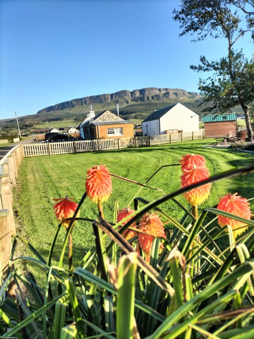 Red flowers bloom in the garden of Ballymultimber Cottages in Limavady, with mountain views and cottage buildings beyond