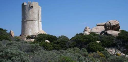 Tour en pierre historique à Vista D'oro à Monacia d'Aullène, Corse, entourée de maquis et de rochers de granit