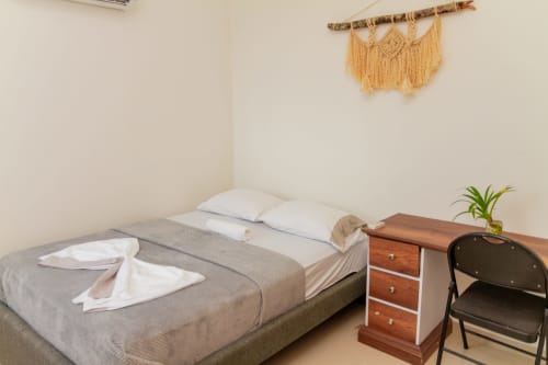 Habitación de hotel en Olamar Living con cama, escritorio de madera, silla, planta y decoración macramé en la pared en Santiago de Tolú