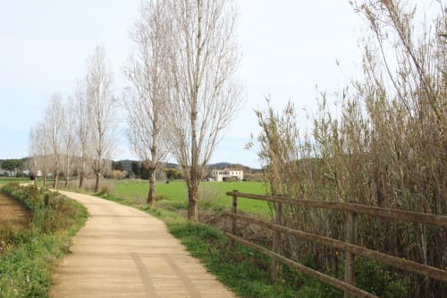 Rural tree-lined dirt path at Finques Garcia Enrich, Palafrugell, with farmland and countryside views