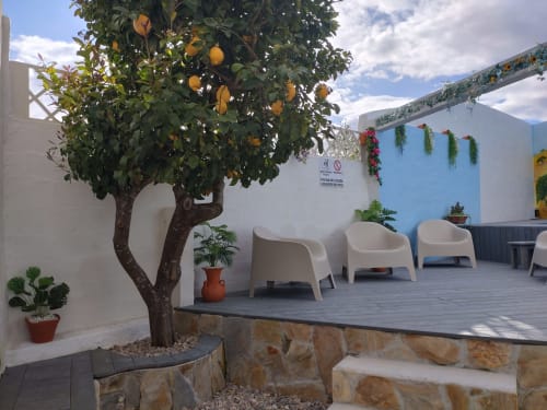 Lemon tree and modern seating on Casa do Pão's terrace in Campinho with blue accent walls