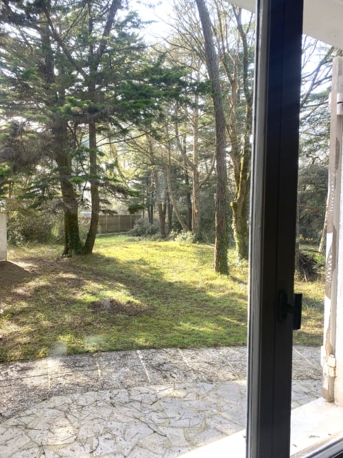Forest view from La Cachette d'Oona B&B in Saint-Jean-de-Monts, showing wooded backyard with moss-covered ground and wooden
