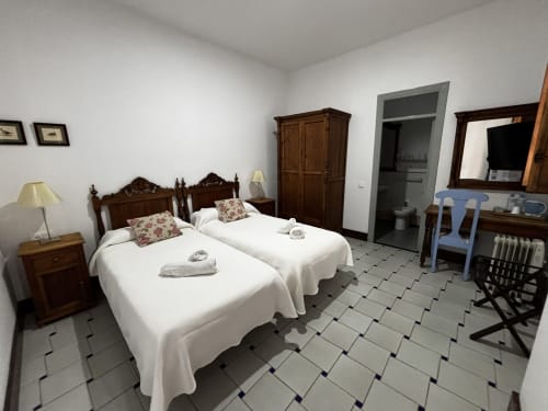 Habitación twin con opción de cama matrimonial en Hotel Entreolivos.