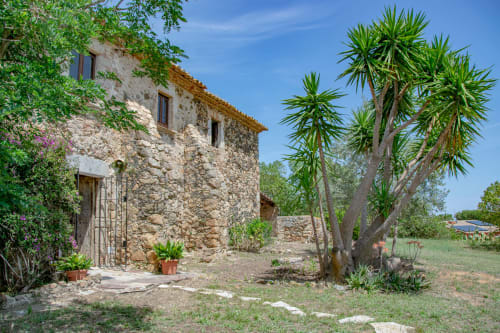 Charmante maison en pierre historique à Finques Garcia Enrich à Palafrugell, entourée de végétation luxuriante et d'un palmier