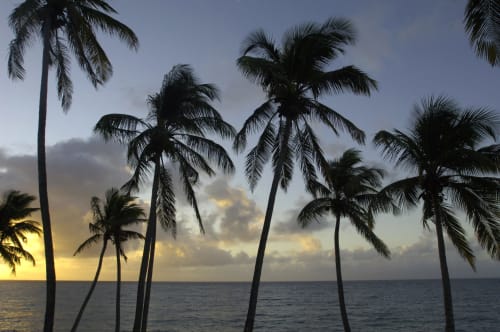 La Maison du Bonheur – Votre Villa d’Exception au Diamant, Martinique