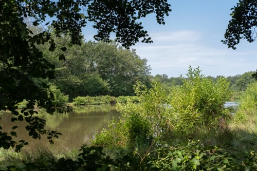 Les Mésangères – Séjour Authentique en Sologne, à Chaumont-sur-Tharonne