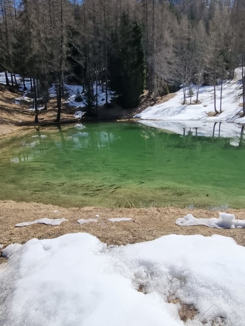 #lagotroteneve #ultimanevesullago