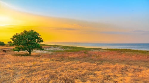 Pôr-do-sol na Praia Escape to Ponta dos Corvos – Uma Jóia Escondida para os Amantes da Natureza