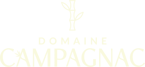Logo Domaine De Campagnac avec motif bambou, luxueux gîte et chambres d'hôtes à Carsac-Aillac, France